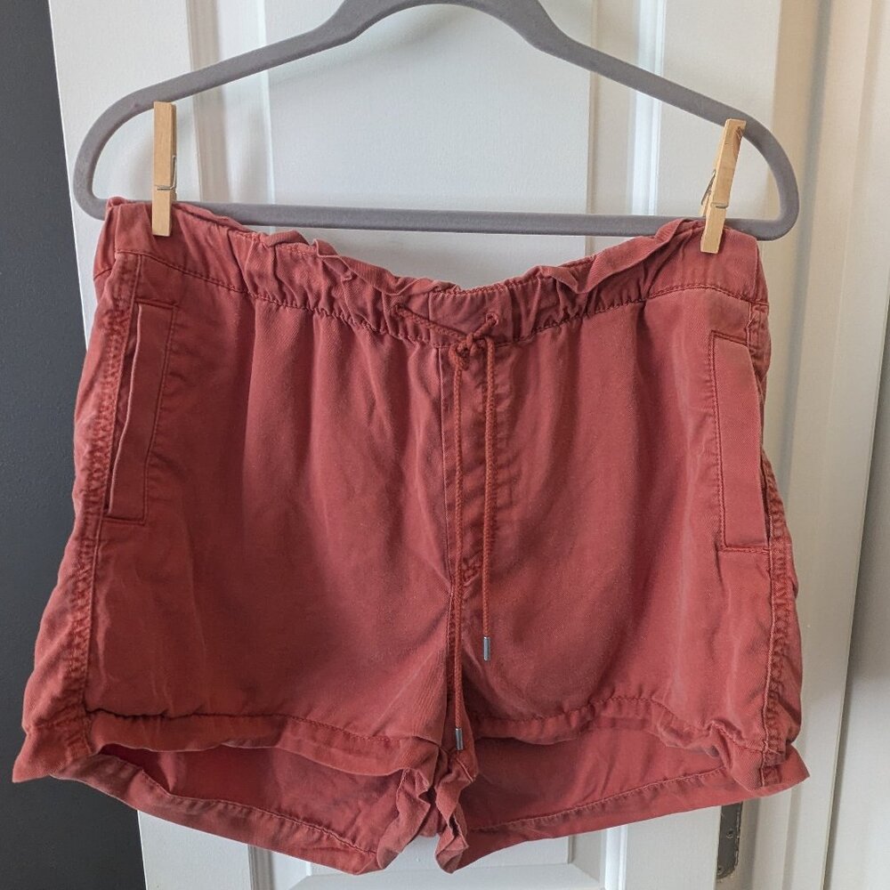 Loft Shorts Size LARGE PETITE